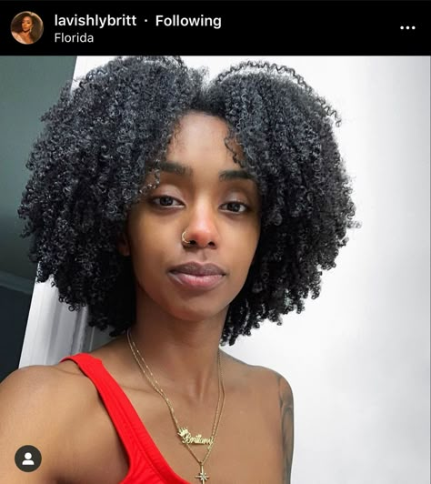 Brittany Williams, 4a Natural Hair, 4b Hair, Natural Hair Cuts, Natural Hair Twists, Beautiful Natural Hair, Pelo Afro, Natural Hair Beauty, Natural Curls Hairstyles