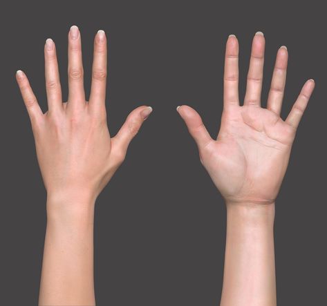 ArtStation - HAND STUDY 2 Hands Reference Anatomy, Female Hand Anatomy, Human Body Proportions, Zbrush Anatomy, Hand Study, Hand Anatomy, Hands Tutorial, Female Anatomy Reference, Body Study