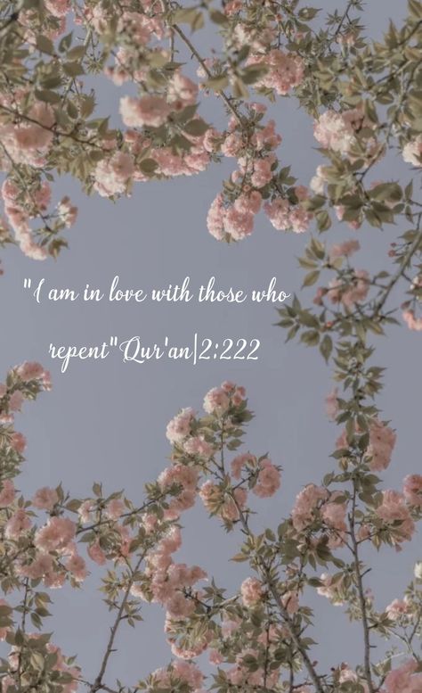 Allah Forgiveness Quotes, L A, All Sins, A M, Forgiveness Quotes, Soft Wallpaper, Islamic Quotes Wallpaper, Beautiful Quran Quotes, Islamic Wallpaper