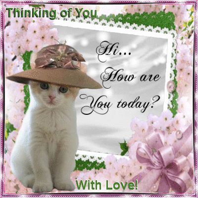 Hi, How Are You Today? cat gif hi good morning thinking of you good morning quotes good morning sayings good morning image quotes Cute Thinking Of You, Good Day Gif, Slaap Lekker, Foster Kittens, Good Morning Image Quotes, Morning Greetings Quotes, Cute Good Morning, Good Morning Gif, Good Morning Good Night