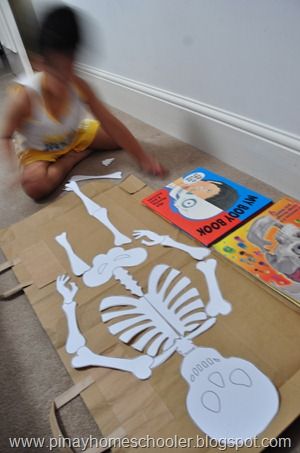 free printable skeleton Skeleton Science Project, How To Make Skeleton Bones, Life Size Skeleton Printable Free, Free Printable Skeleton Bones, Bone Activities, Skeleton Art Projects, Skeleton Activities, Skeleton Printable, Anatomy Skeleton