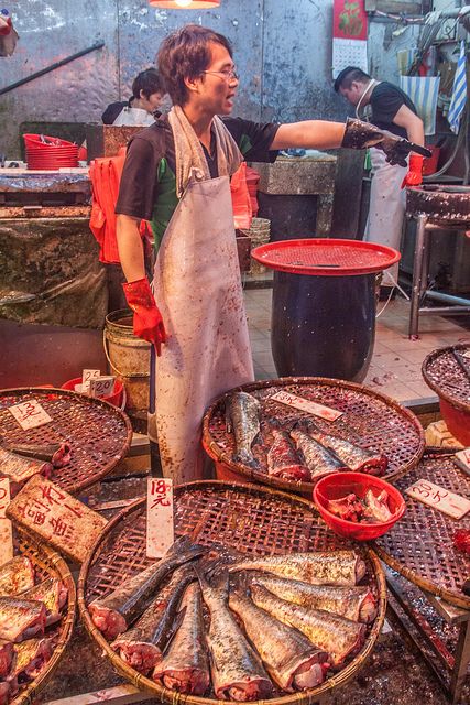 Fish Market Memory Drawing, Fish Market Photography, Toyosu Fish Market, Hong Kong Street Food, Tokyo Fish Market, Travel Baby Shower Theme, Market Art, Traditional Market, Blog Art