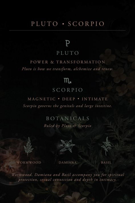 Wormwood, Damiana and Basil ruled by Pluto and Scorpio. Pluto | Power & Transformation Scorpio | Magnetic, deep, intimate. Scorpio governs the genitals and large intestine.  Integrate a deeper understanding of Astro-herbalism – potent plants, their benefits, practical uses, ruling planet and zodiac sign on our blog. Scorpio Pluto Aesthetic, Pluto Symbol, Astro Herbalism, Pluto Scorpio, Scorpio Pluto, Pluto Aesthetic, Scorpio Power, Scorpio Aesthetic, Behance Icon