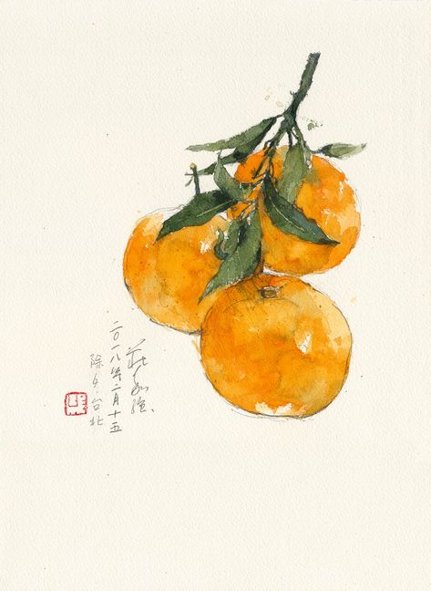 Watercolor Oranges, Oranges Drawing, Watercolor Objects, Watercolor Art Orange, Orange Watercolor, Watercolor Orange, Orange In Watercolor, Drawing Of Orange Fruit, Tangerine Illustration