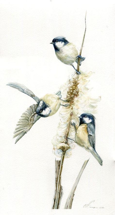 Bird Artwork, China Painting, Arte Animal, Bird Drawings, Watercolor Inspiration, Watercolor Bird, Watercolor Animals, Mural Art, Birds Painting