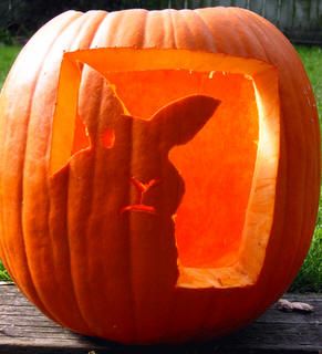 Disapproving Rabbit. Rabbit Jack O Lantern, Rabbit Halloween, Cute Pumpkin Carving, Pumkin Carving, Leaves Falling, Bunny Mom, Pumpkin Carvings, Rabbit Art, Bunny Art