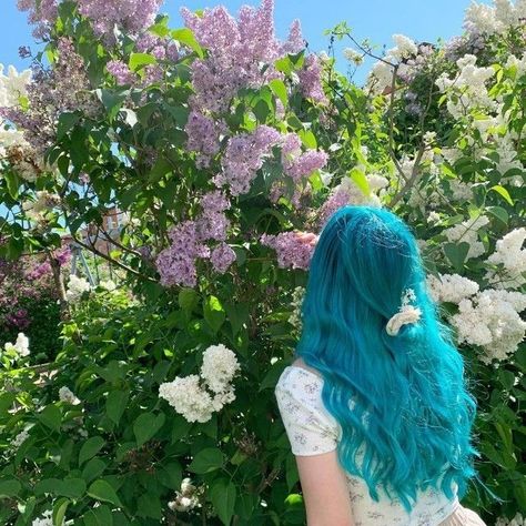 Arctic Fox Aquamarine, Bright Blue Hair, Curly Long Hair, Ocean Hair, Arctic Fox Hair Color, Aqua Hair, Cute Hair Colors, Creative Hair Color, Hair Half Up