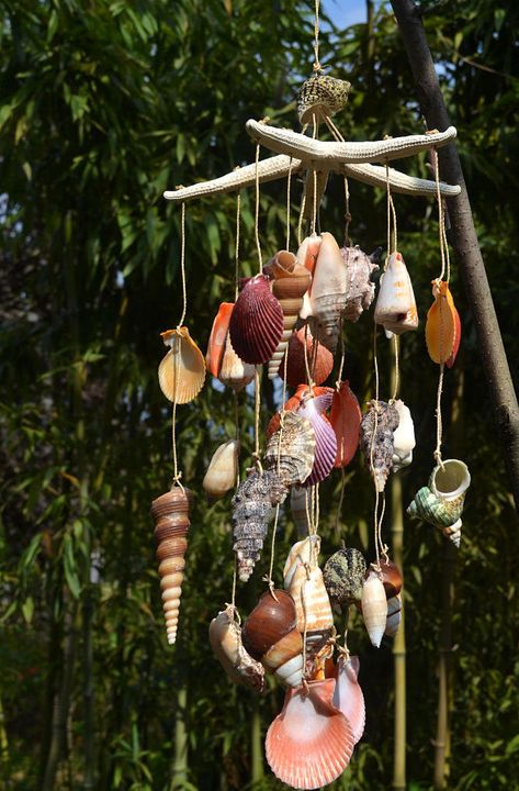 t a hugely decadent design. And a unique one, too. Source Wind Chimes Diy, Chimes Diy, Carillons Diy, Seashell Wind Chimes, Make Wind Chimes, Driftwood Mobile, Deco Marine, Shell Wind Chimes, Wind Chimes Craft