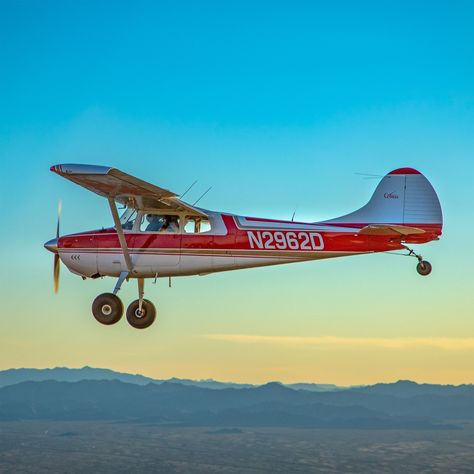 Flying In Airplane, Cessna Tattoo, Vintage Plane Aesthetic, Old Plane Aesthetic, Airplane Front View, The Only Plane In The Sky, Bush Flying, Biplane Vintage, Airplane Vintage