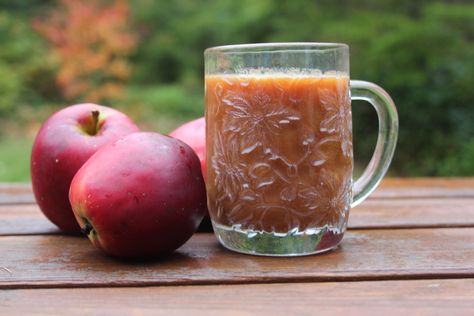 Apple Cider From Apples (no Cider Press) Homemade Apple Cider Recipe, Easy Apple Cider Recipe, Hot Spiced Cider, Homemade Cider, Garden Fruit Trees, Apple Press, Cider Press, Virgin Drinks, Apple Cider Recipe