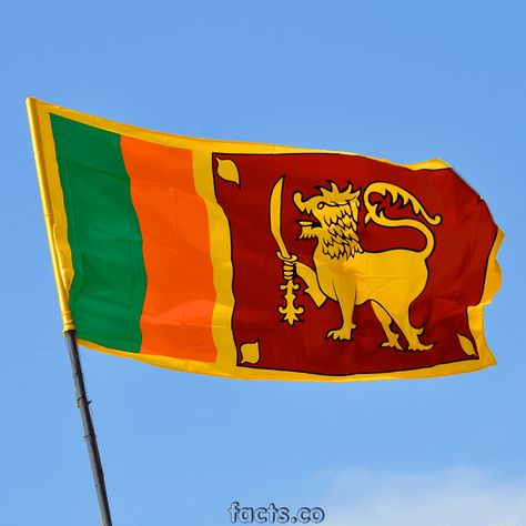 Flag of Sri Lanka - Alchetron, The Free Social Encyclopedia Sri Lankan Flag, History Of Sri Lanka, Sri Lanka Flag, Colors Meaning, Dark Red Background, Armchair Travel, Bus Games, World Thinking Day, Symbols Of Freedom