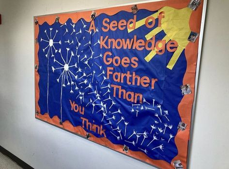 Make A Wish Bulletin Board, Kindergarten Bulletin Board, Kindergarten Bulletin Boards, Boards Ideas, Bulletin Board Ideas, School Board, Board Ideas, Make A Wish, Preschool Crafts