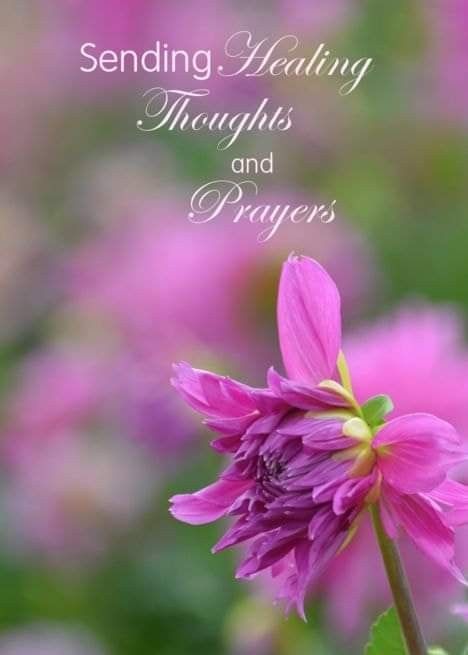 Thinking Of You Prayers, Healing Thoughts And Prayers, Sending Prayers Your Way Healing, Healing Message For Friend, Prayers For Health And Healing Get Well, Healing After Surgery Quotes, Sending Hugs And Prayers, Praying For Healing Quotes, Sending Healing Prayers