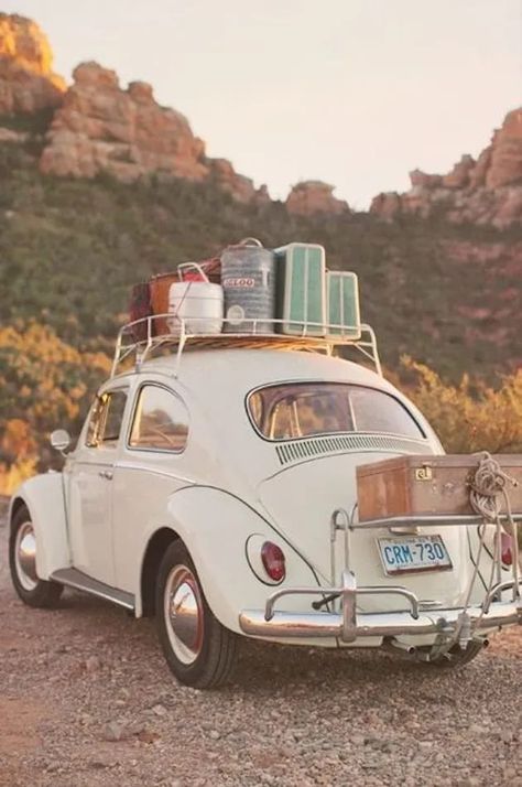 Carros Vintage, Laughing Funny, Road Trip Car, Beetle Car, First Cars, Car Volkswagen, Travel Outfit Summer, Bridal Musings, Vintage Vw