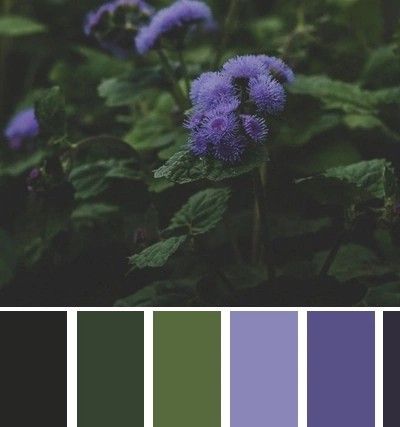 Forest Witch Color Palette, Purple And Green Interior Design, Purple Green Blue Color Palette, Lilac And Dark Green, Enchanted Forest Color Palette, Purple Green Color Palette, Garden Color Scheme, Purple And Green Color Palette, Green And Purple Bedroom