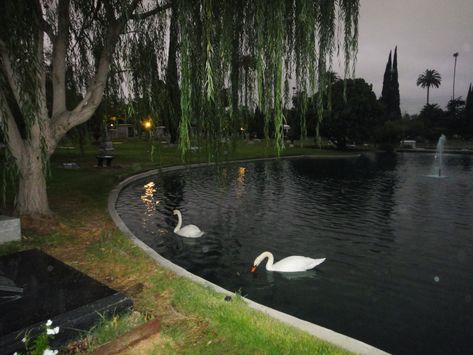 Cemetery Aesthetic, Hollywood Cemetery, Coquette Girlblogger, Hollywood Forever Cemetery, Swan Lake, Road Trip Usa, Cemetery, West Coast, Colorful Art