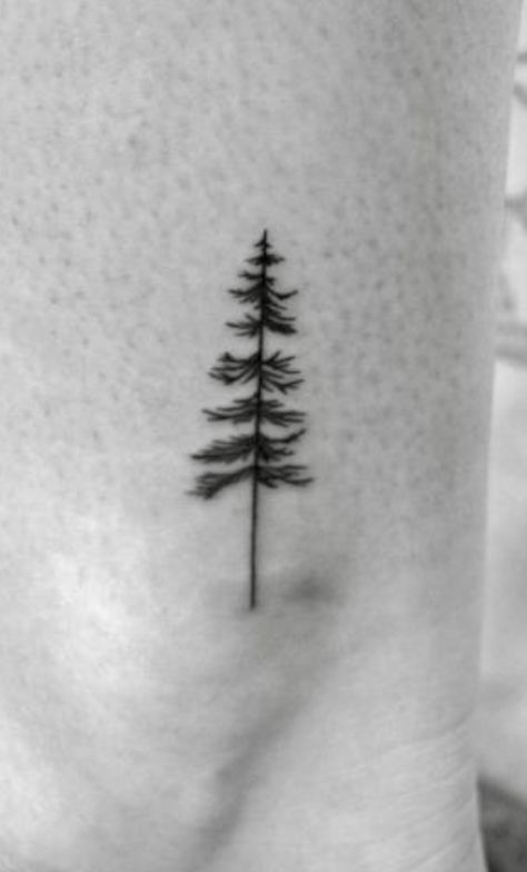 Single Line Pine Tree Tattoo, Small Evergreen Tree Tattoo, 4 Pine Tree Tattoo, Norfolk Pine Tree Tattoo, Geometric Pine Tree Tattoo, Balsam Fir Tattoo, Tall Pine Tree Tattoo, Dainty Pine Tree Tattoo, Western Hemlock Tattoo