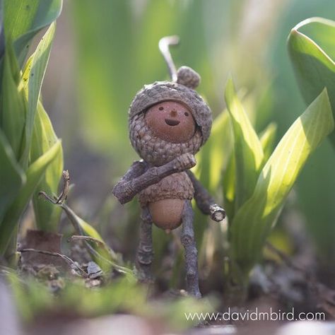 Gallery - Becorn Photographs — David M Bird Making Becorns, Acorn People, Animals In Nature, Forest Crafts, Pine Cone Art, Acorn Crafts, Deco Nature, Providence Rhode Island, Fantasy Forest