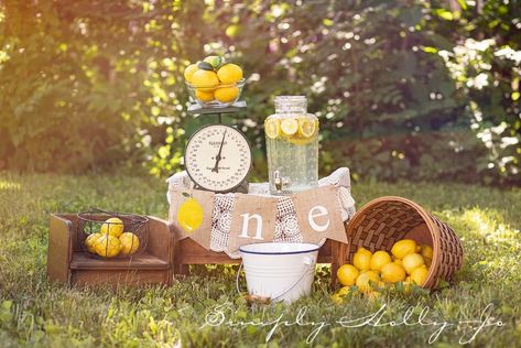 Lemon First Birthday Photos, Lemon Cake Smash, Lemon Photoshoot Ideas, Lemon One Year Birthday, Lemon Baby Photoshoot, Lemonade Photo Shoot, Lemon Birthday Theme, Lemon Photoshoot, Lemon 1st Birthday