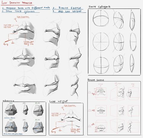 Lips At Different Angles, Facial Anatomy Drawing, Mouth Drawing Tutorial, Lips Anatomy, Lip Anatomy, Draw Mouth, Painting Eyes, Head Anatomy, Facial Anatomy