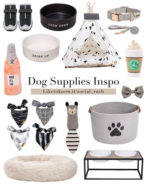 Dog Supplies Inspo / Dog Mom / Dog Products / Amazon Dog / Target Dog / Dog Finds / Pet Accessories / Pet Essentials #amazondog #amazonfinds #targetdog #targetfinds #dog #doglovers #dogmom #dogtips #dogaccessories #dogtoys Aesthetic Puppy Essentials, Small Dog Supplies, Cute Dog Accessories Dog Supplies, Dog Mom Essentials, Dog Amazon Finds, Aesthetic Puppy Supplies, Dog Products Must Have, Aesthetic Dog Supplies, Dog Must Haves