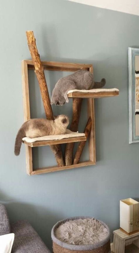 Cat Bed On Wall, Diy Cheap Cat Tree, Cat Bed Wall, Diy Wall Cat Bed, Diy Cat Bed Wood, Rustic Cat Tree, Diy Floor To Ceiling Cat Post, Rent Friendly Cat Shelves, Diy Wood Cat Tree