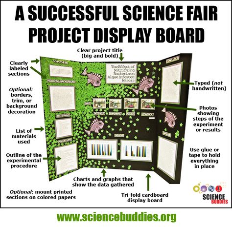 Mastering the Project Display Board Science Project Trifold Board Ideas, Soil Erosion Science Fair Project Board, Video Game Science Fair Project, Science Fair Trifold Display Ideas, Science Fair Poster Board Ideas, Science Fair Ideas Highschool, Science Expo Projects Ideas, Science Fair Board Ideas, Science Fair Board Layout