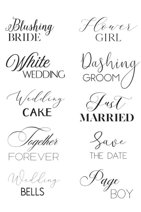 Wedding Fonts Combinations, Best Calligraphy Fonts, Tattoo Name Fonts, Sarah Titus, Font Combination, Tattoo Script Fonts, Tattoo Fonts Cursive, Sign Fonts, Best Script Fonts