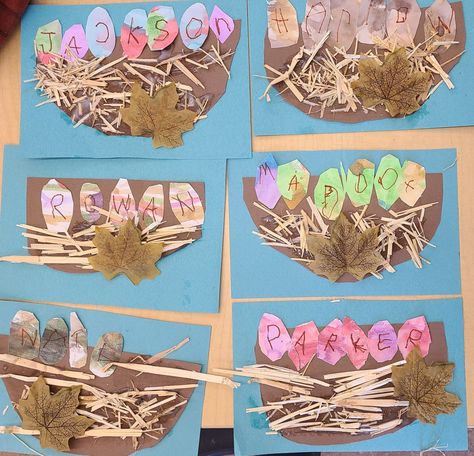 Birds Nest Activity For Preschool, Nest Art Preschool, Making Bird Nests Preschool, Nest Activity Preschool, Birds Reggio Emilia, Birds And Nests Preschool, Spring Bird Crafts Preschool, The Best Nest Preschool Activities, Birds Prek Activities