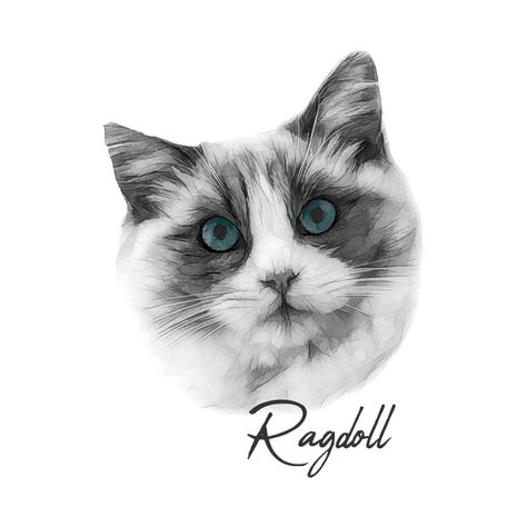 Cat Merchandise, Holy Shirt, Ragdoll Cat, Cat Portraits, Cat T, Case Stickers, Cat Design, Cat Tshirt, Phone Case Stickers