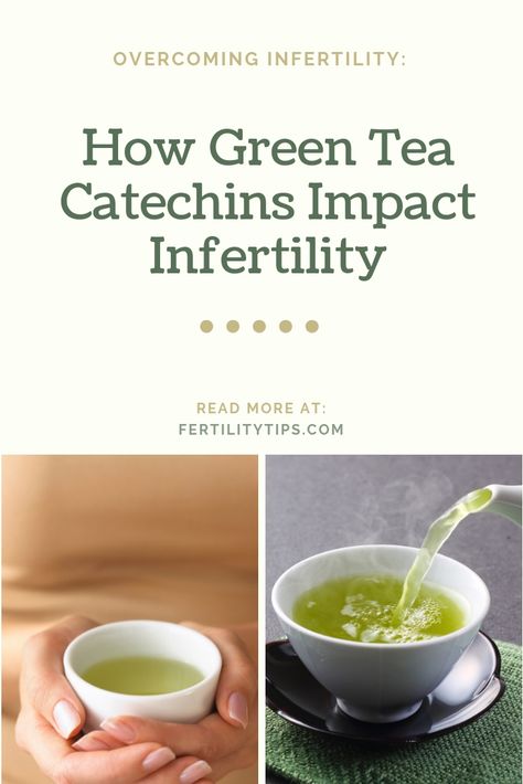 Best Herbal Teas For Fertility, Fertility Tea Trying To Conceive, Before Trying To Conceive, Foods To Help Get Pregnant Trying To Conceive, Ttc Tips Natural Fertility, Body Knowledge, Hot Teas, Systemic Inflammation, Fertility Nutrition