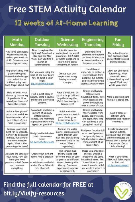 Homeschool Stem Curriculum, Home School Circulum, Homeschool Activities Elementary, Homeschool Outside Activities, Parent Activities At School, Summer Homeschool Curriculum, Homeschool Projects Middle School, Homeschool Stem Activities, Homeschool For Middle Schoolers