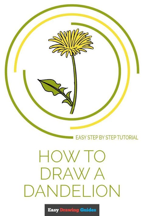 Learn How to Draw Dandelion: Easy Step-by-Step Drawing Tutorial for Kids and Beginners. See the full tutorial at https://easydrawingguides.com/how-to-draw-a-dandelion/. Draw A Dandelion, How To Draw Nature, Drawing Step By Step Easy, Nature Arts And Crafts, Nature Art Ideas, Draw Nature, Easy Drawing Step By Step, Dandelion Drawing, Easy Pencil Drawing