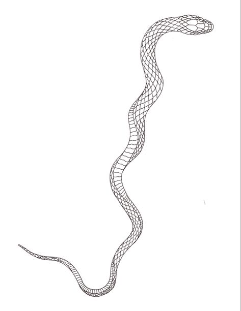 Snake, line work snake, tattoo design, wrapping tattoo, twirling snake design Wrapped Snake Tattoo, Snake Wrapped Around Arm Tattoo Stencil, Wrap Around Snake Tattoo Stencil, Straight Snake Tattoo, Wrapping Snake Tattoo, Snake Wrapping Around Arm Tattoo, Long Snake Tattoo, Snake Around Leg Tattoo, Snake Tattoos Arm Wraparound