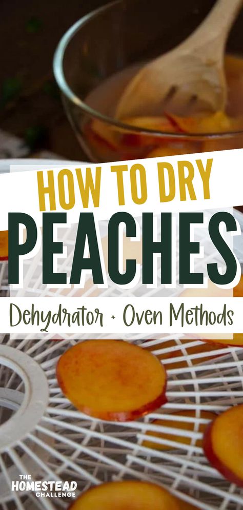 Drying Peaches In The Oven, Dehydrating Peaches In Dehydrator, How To Dehydrate Peaches, Dried Peaches Recipe, Dehydrating Peaches, Dehydrate Peaches, Dehydrated Peaches, Beginner Canning, Canning Peaches