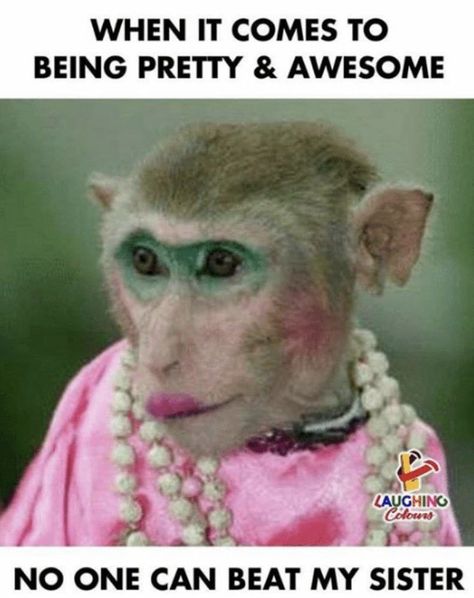 When it comes to being pretty and awesome - no one can beat my sister meme