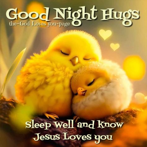 Good Night Grandson, Good Night My Dear Friend, Good Night My Dear, Picture Sayings, Goodnight Images, Evening Blessings, Parent Quotes, Good Morning Quotes Friendship, Good Night Cat