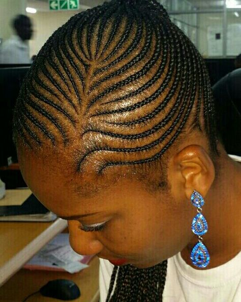 Plain Cornrows On Natural Hair, Plain Cornrows, African Hair Braiding Styles Cornrows, Hair Braids African, Free Hand Styles For African Hair, Free Hand Plaiting Natural Hair, Shuku Braids, Free Hand Hairstyles, Cornrow Updo Hairstyles