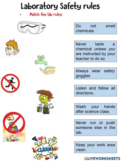 Science Lab Safety Worksheet, Lab Safety Worksheet, Chemistry Lab Safety Poster, Safety Rules Worksheet, Science Lab Rules, Science Lab Safety Rules, Science Safety Rules, Classroom Worksheet, Lab Rules