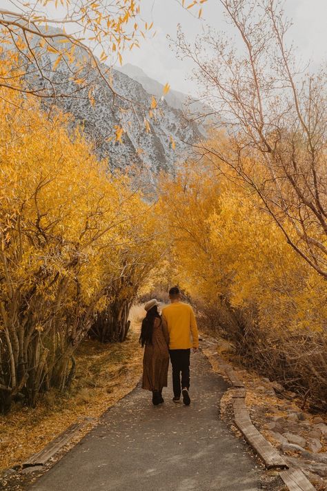 Fall Theme Engagement Photos, Couple Autumn Photography, Fall Engagement Pictures Champagne, Fall Nature Engagement Photos, Fall Leaves Engagement Photos, Couple Autumn Aesthetic, Late Fall Engagement Photos, Autumn Engagement Shoot, Fall Engagement Photo Inspiration