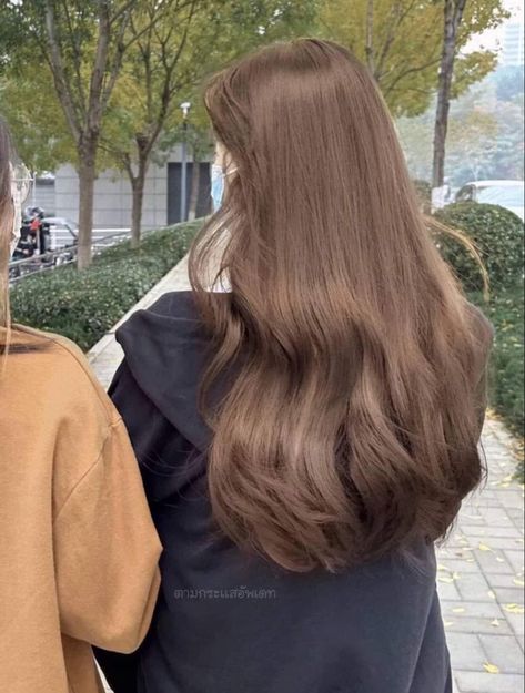 Linen Brown Hair, Brown Pinkish Hair, Lightish Brown Hair, Moca Brown Hair Color, 6 Hair Color Level, No Bleach Brown Hair, Milk Brown Hair Color, Olive Beige Hair Color, Light Brown Hair Cool Tone