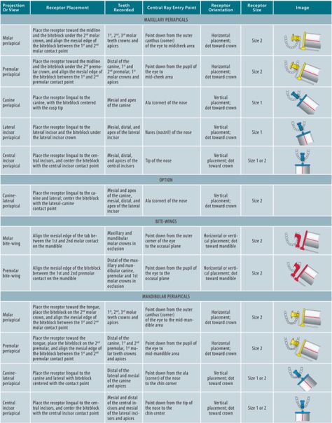 Dental Assistant Radiology Study, Dental Assistant Study Notes, Radiology Medical Terminology, Dental Organization, Dental Assisting Notes, Fca Ideas, Rda Dental Study Guides, Dental Radiology, Veterinary Radiology Positioning