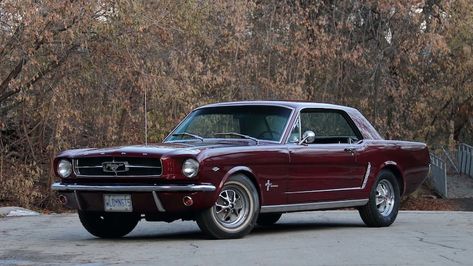 1960s Ford Mustang, 1965 Ford Mustang Coupe, 70s Mustang, 1996 Mustang, 65 Ford Mustang, Ford Mustang 1965, Red Mustang, 60s Cars, 1968 Mustang