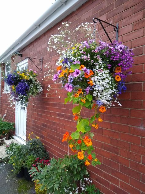 Flowers In Pots, Hanging Plants Outdoor, Flowers Hanging, Patio Flowers, Hanging Ideas, Balcony Plants, Garden Decor Ideas, Flower Pots Outdoor, Outdoor Flowers