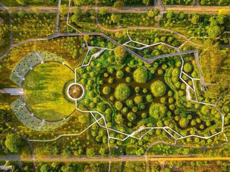 Benjakitti Forest Park provides a “green lung” in Bangkok Community Park Design, World Architecture Festival, Tree Seedlings, Natural Ecosystem, Tree Canopy, Urban Nature, Chinese Landscape, Community Park, Wildlife Habitat