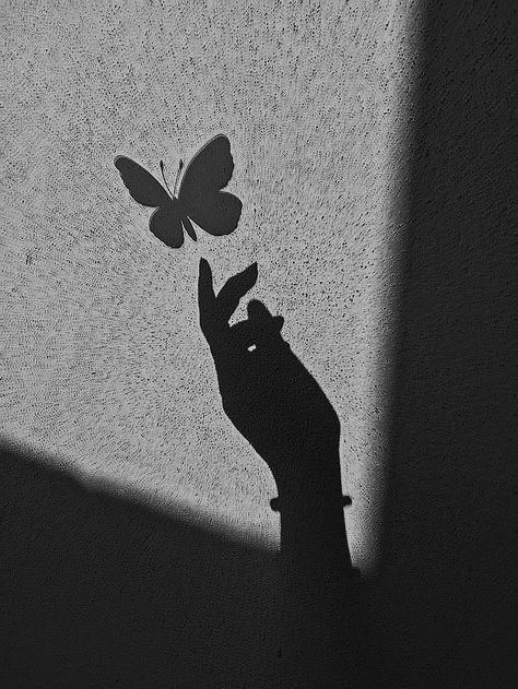 Black Butterfly Profile Picture, Butterfly Profile Picture, Black Aesthetic Moodboard, Black Butterflies Aesthetic, Purple Glitter Wallpaper, Butterfly Shadow, Asthetic Picture White And Black, Soul Reaper, Facebook Profile Photo