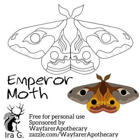 Fabric Moth Pattern Free, Moth Template Free Printable, Felt Moth Pattern, Moth Wing Pattern, Felt Templates Printable Free Pattern, Moth Template, Felt Moth, Emperor Moth, Felt Toys Patterns