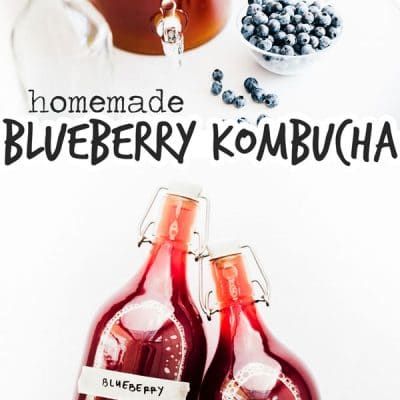 Blueberry Kombucha Recipe (Home Brewed!) | Live Eat Learn Blueberry Kombucha, Kombucha Flavors Recipes, Diy Kombucha, Kombucha Brewing, Kombucha Recipes, Make Kombucha, Kombucha Flavors, Kombucha Scoby, Fermented Drinks