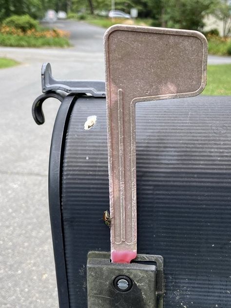 Five Frugal Things | a mailbox flag refresh Paint Mailbox, Short Bookshelf, Mailbox Flags, Random Hacks, Mailbox Flag, Painted Mailboxes, Red Spray Paint, Flag Holder, Bowl Of Cereal