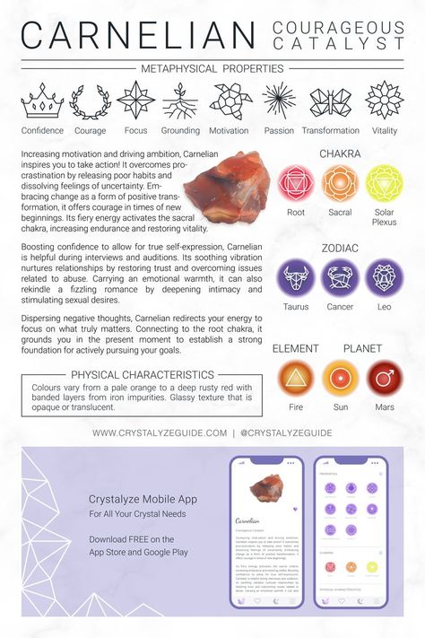 Enhance Your Crystal Practice 📲 𝐃𝐨𝐰𝐧𝐥𝐨𝐚𝐝 𝐨𝐮𝐫 𝐅𝐑𝐄𝐄 𝐂𝐫𝐲𝐬𝐭𝐚𝐥𝐲𝐳𝐞 𝐀𝐩𝐩 on the App Store & Google Play. #Carnelian #Crystals #HealingCrystals Cinnabrite Crystal Meaning, Carnelian Meaning Crystal Healing, Crystal Practice, How To Charge Carnelian Crystal, Crystal Properties Journal, Round Carnelian Gemstones For Spiritual Healing, Carnelian Meaning, Crystals Guide, Crystals Healing Grids